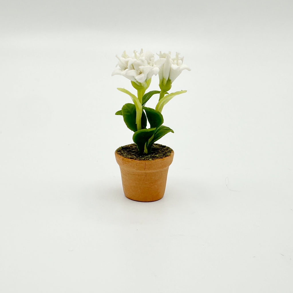 White Flowers in Pot for Dollhouse