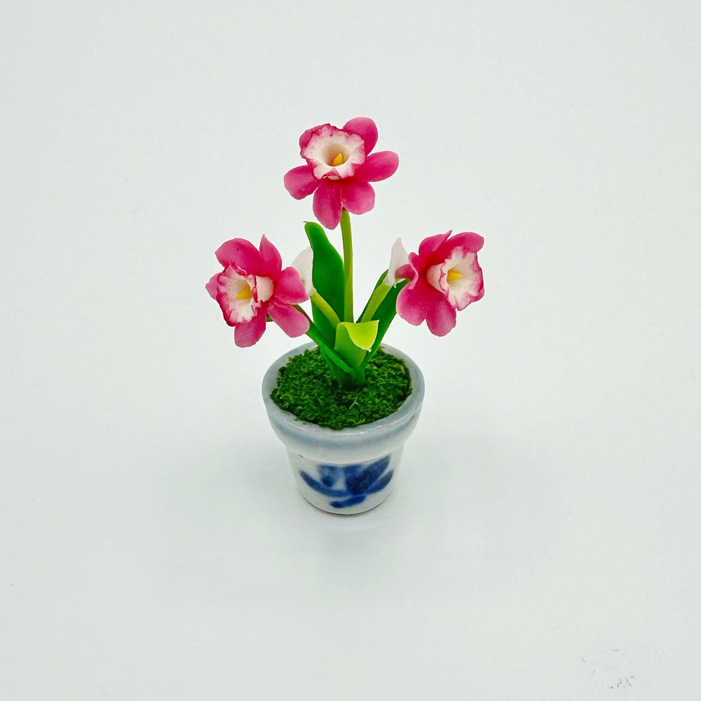 Pink Daffodil in Pot - Dollhouse Miniature