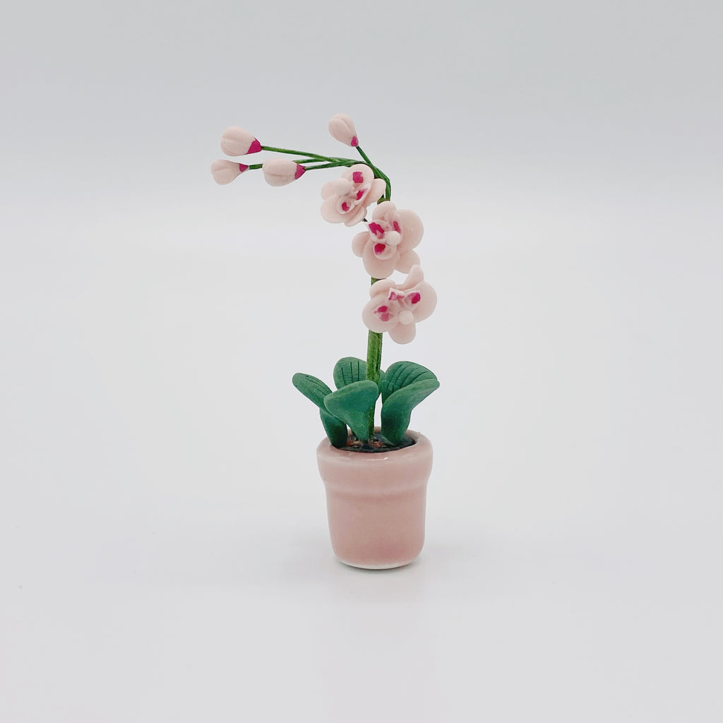 Orchid In Pink Pot For Dollhouse