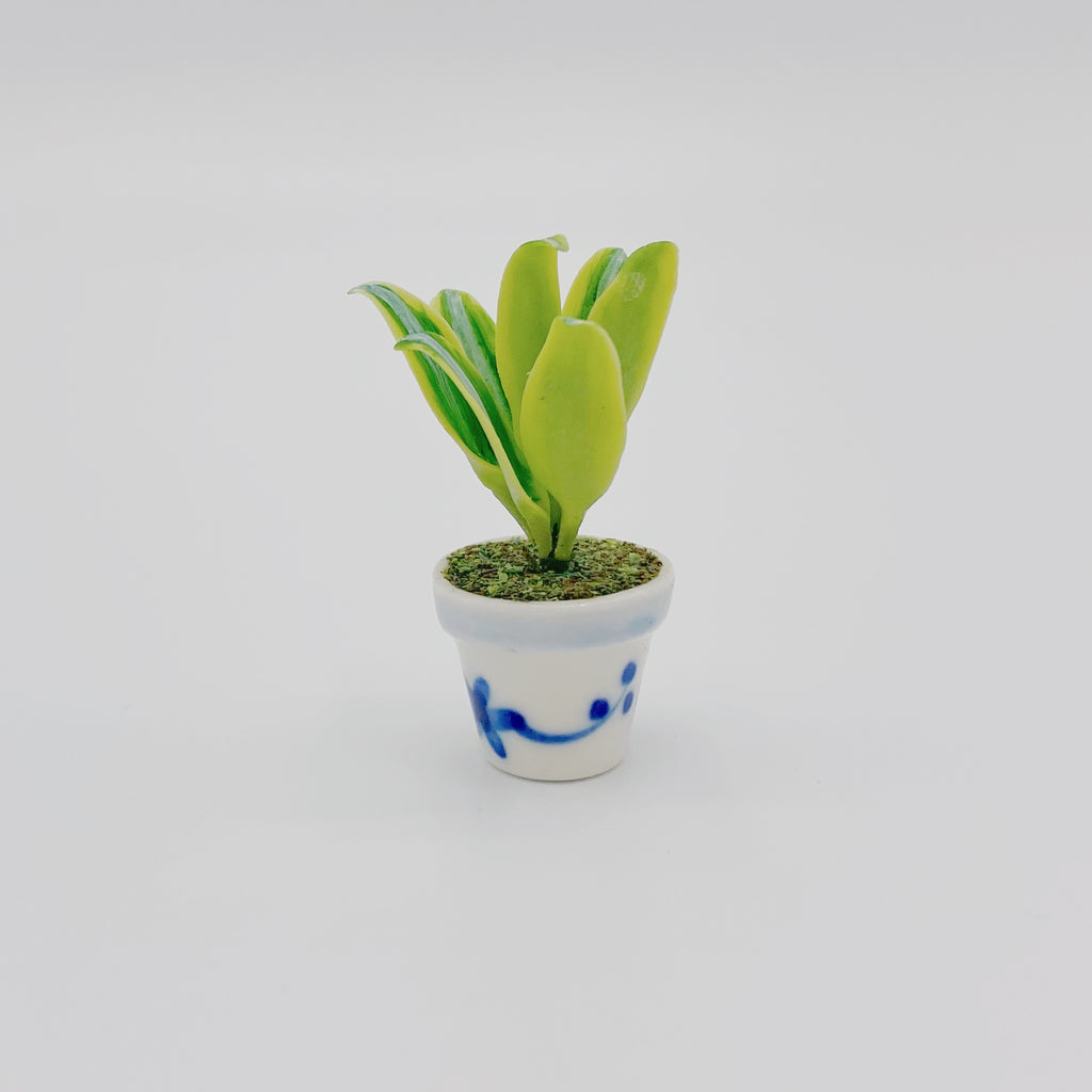 Snake Plant For Dollhouse - Life In A Dollhouse