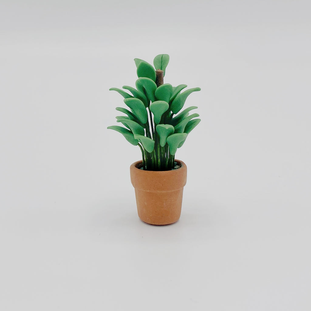 Plant In Terracotta Pot For Dollhouse - Life In A Dollhouse