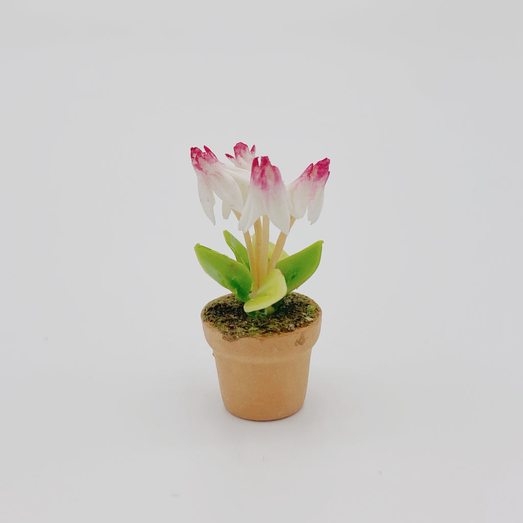 Pink Flower In Terracotta Pot For Dollhouse - Life In A Dollhouse
