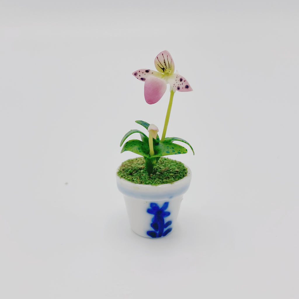 Orchid In Blue and White Pot For Dollhouse - Life In A Dollhouse