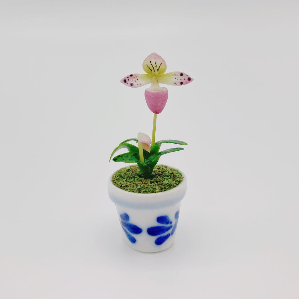 Orchid In Blue and White Pot For Dollhouse - Life In A Dollhouse